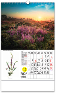 00214-EC Kalendar LJEKOVITO BILJE 13L, 33x48+7 s rot.krugom, vrećica P25 NP 2026