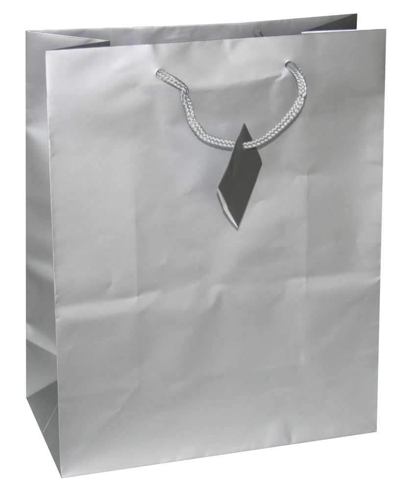 214152-EC Vrećica L jednobojna mat srebrna 26x32,4x12,7cm 71466 P12/144