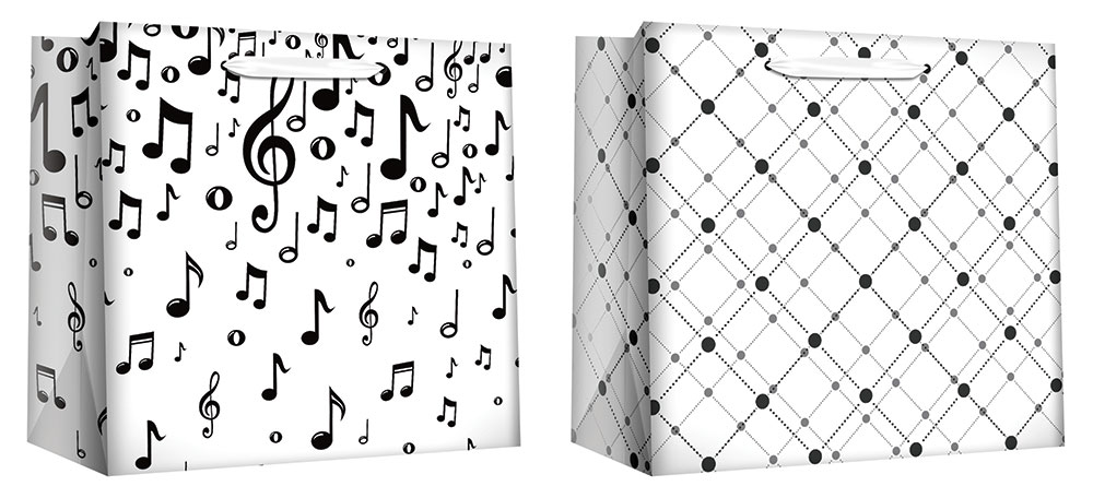 220442-EC Vrećica L exclusive svakodnevna hor. 32x26x12 75122 P12/144