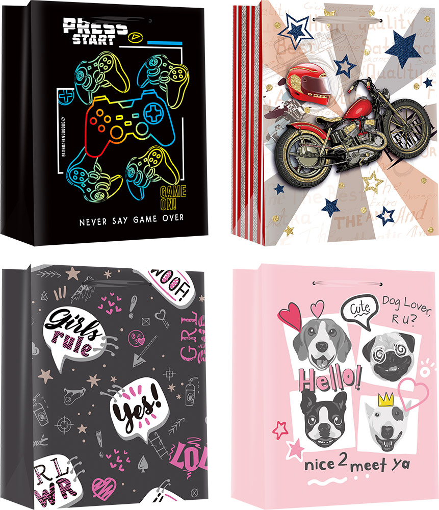 220486-EC Vrećica L svakodnevna sjaj TEEN sort 71298 26x32,4x12,7cm P12/144