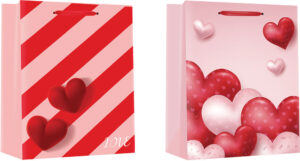 220872-EC Vrećica M exclusive hearts hot stamp folija 18x23x10cm 75131 P12/240