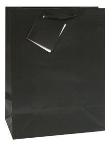 228239-EC Vrećica M jednobojna mat crna 17,8x22,9x9,8cm 75231 P12/288