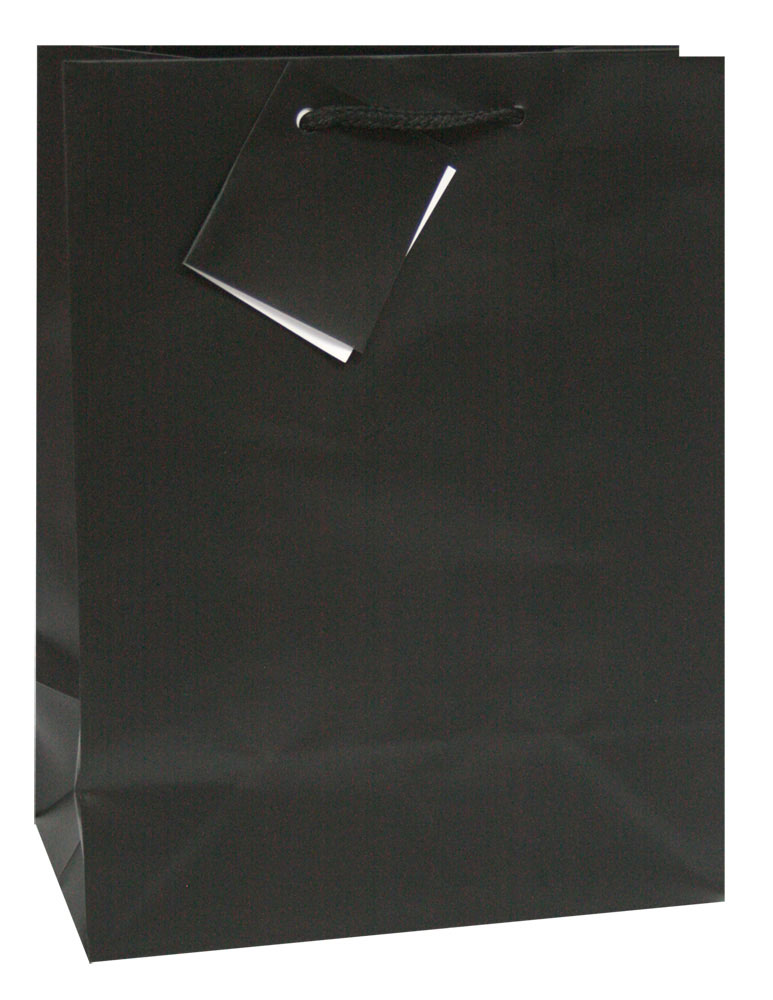 228239-EC Vrećica M jednobojna mat crna 17,8x22,9x9,8cm 75231 P12/288