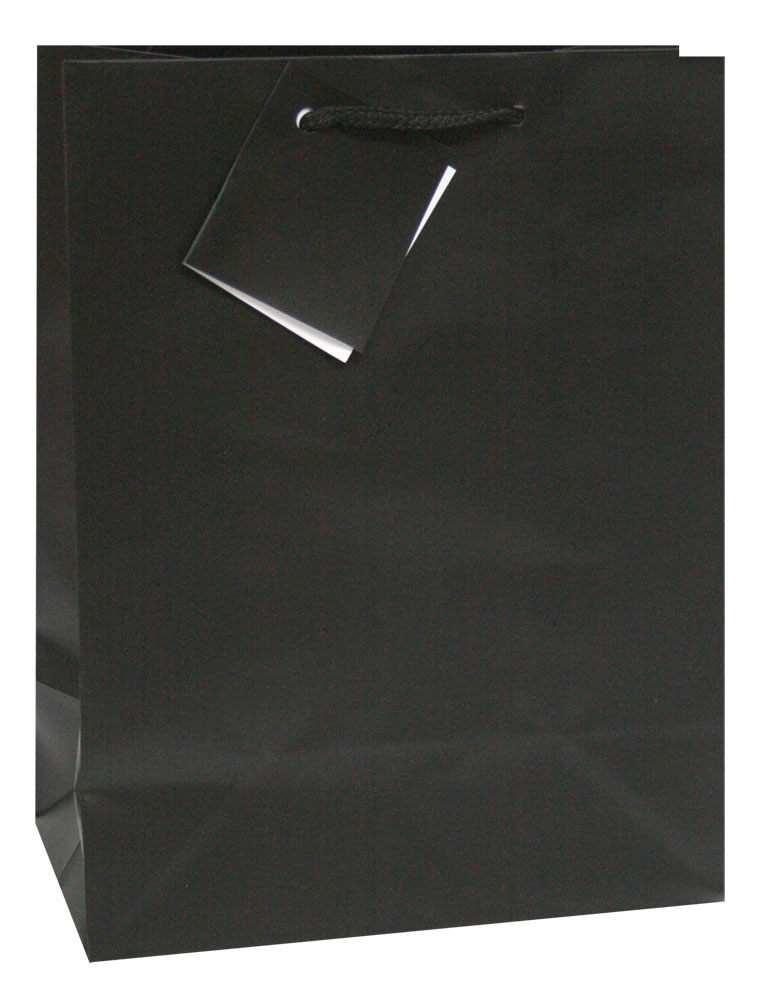 228240-EC Vrećica L jednobojna mat crna 26x32,4x12,7cm 75232 P12/144