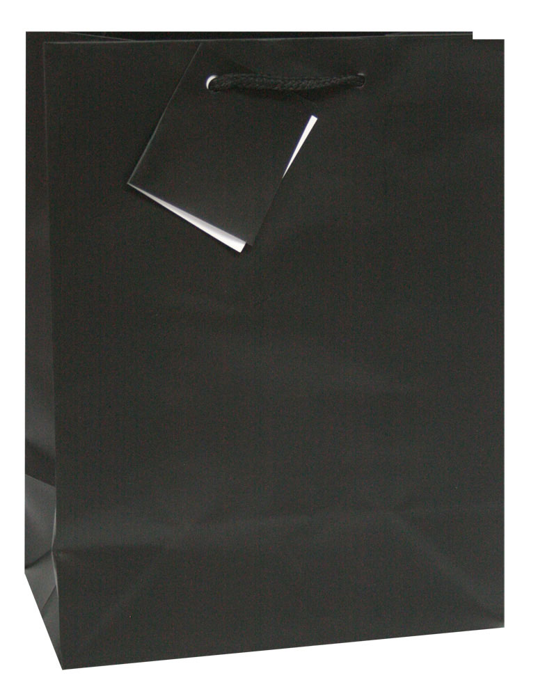 228241-EC Vrećica XL jednobojna mat crna 33x45,7x10,2 75233 P12/144