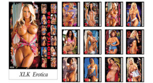 228765-EC Kalendar EROTICA 13L 32x43+7 s vrećicom P20 XLK-TMR 2026