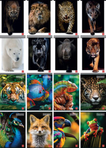 232568-EC Bilježnica A4/D Pigna Animal  P10/60 NETTO