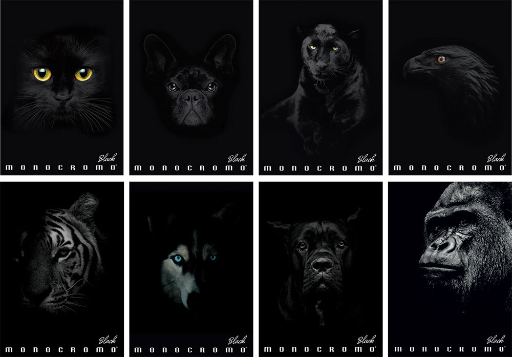 235047-EC Bilježnica A4/D Pigna Monocromo Black P10/60 NETTO