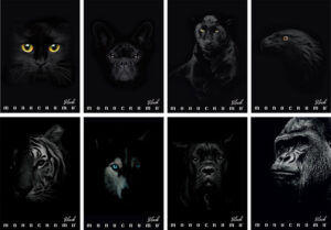 235048-EC Bilježnica A4/K Pigna Monocromo Black P10/60 NETTO