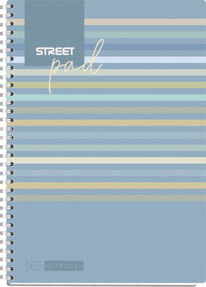 239021-EC Blok kolegij A4/D STREET PAD LINES 100L 67141 P15