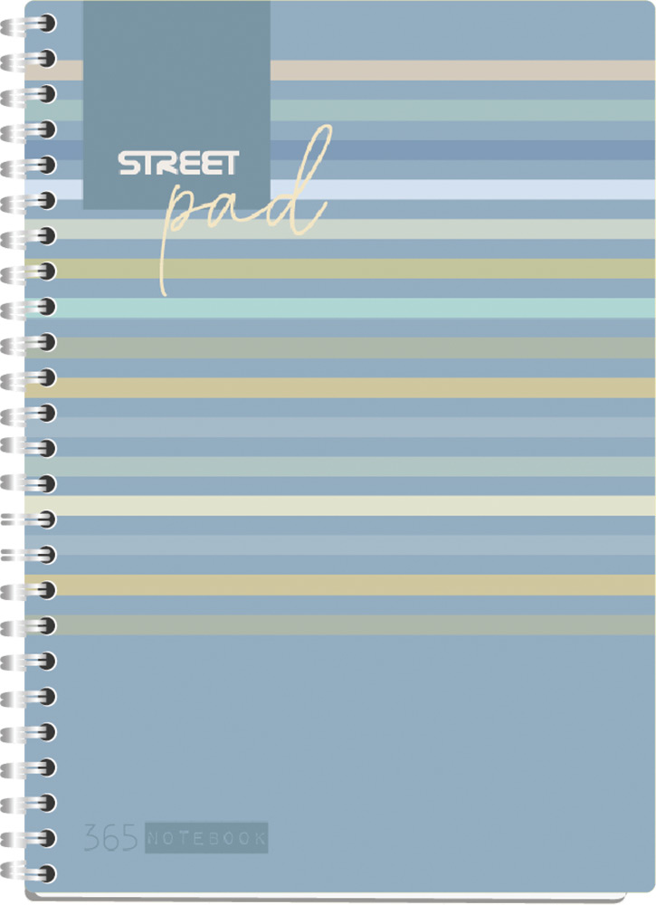 239022-EC Blok kolegij A4/K STREET PAD LINES 100L 67142 P15