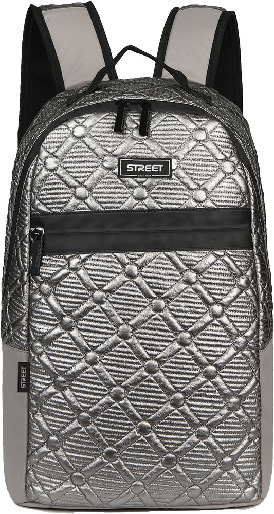 241113-EC Ruksak STREET SHINY Silver 530982 P25 NETTO