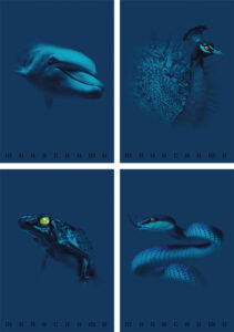 241186-EC Bilježnica A4/D Pigna Monocromo Blue P10/60 NETTO