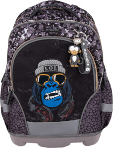 242373-EC Ruksak ergonomski PS14 Street THE KING P6 NETTO