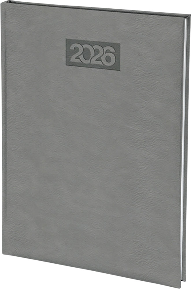 245348-EC Dnevnik PALERMO B5 16,5x22,5cm sivi 2025 P20