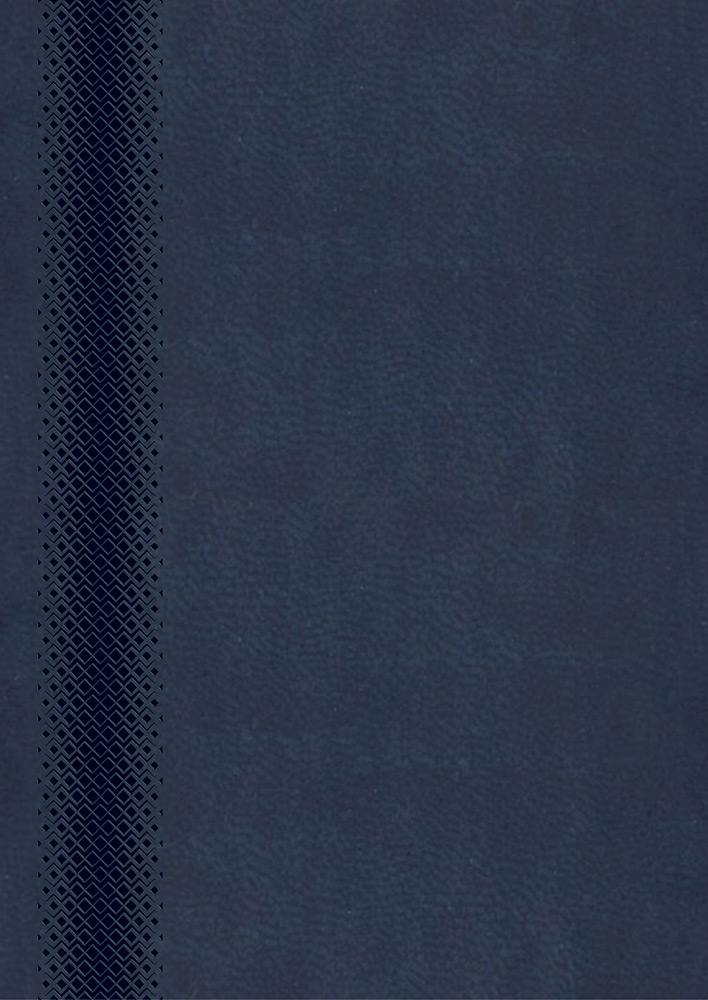 245391-EC Dnevnik MILANO 2025 t.plavi 16,5x23,5 P20