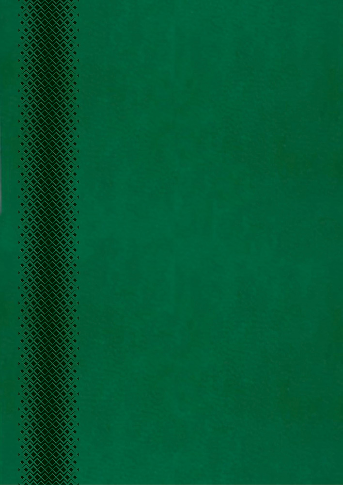 245392-EC Dnevnik MILANO 2025 t.zeleni 16,5x23,5 P20